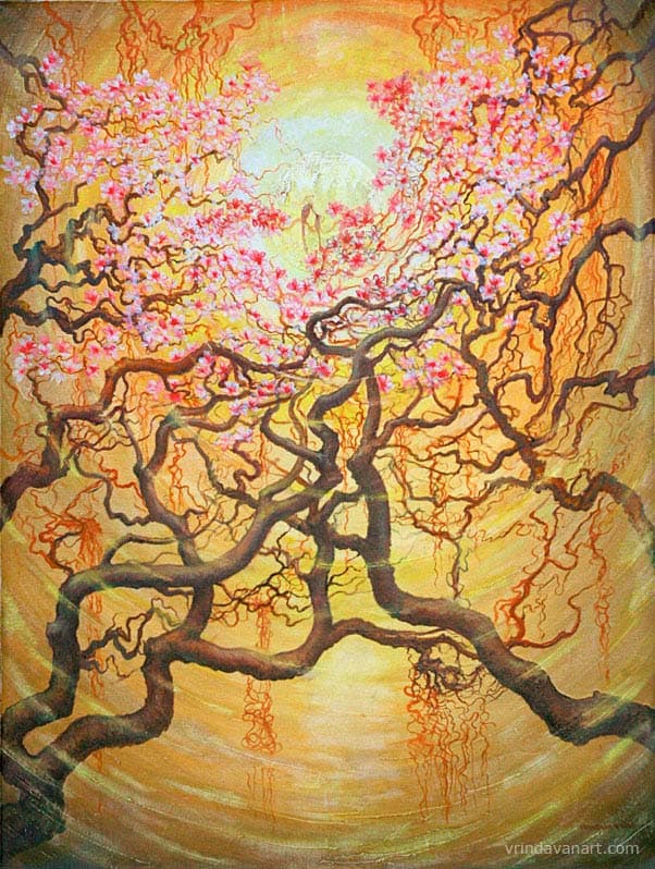 Sun Sakura