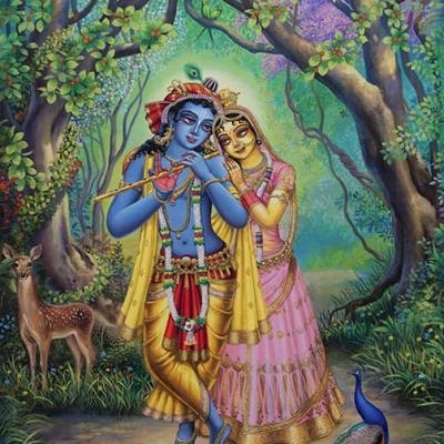 Shree Radha Krishna in the forest of Vrindavan